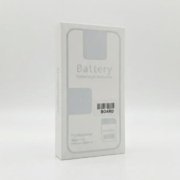 12 P IC BOARD